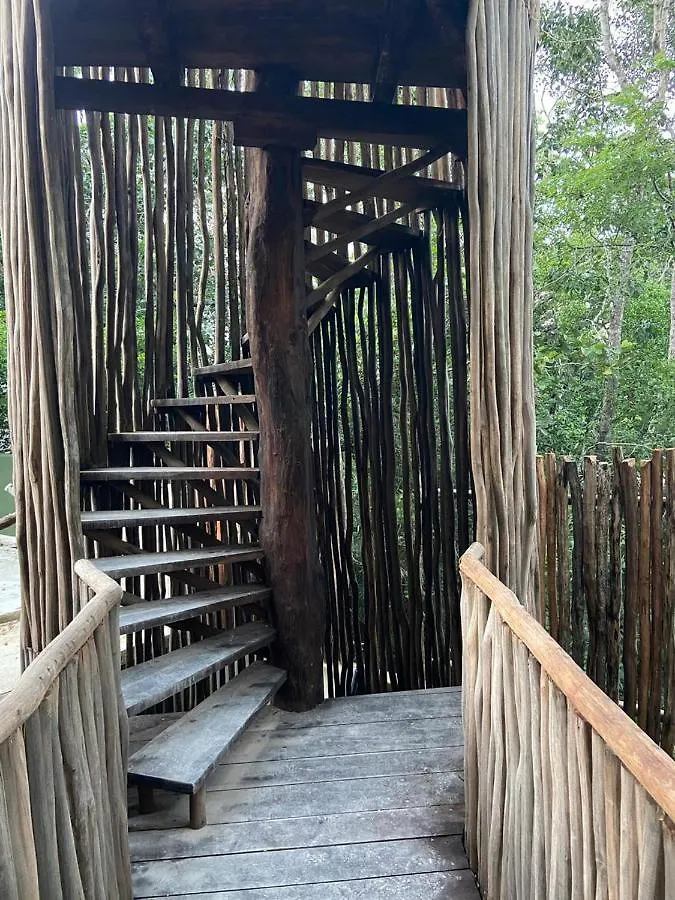 ****  Bed and Breakfast Loba Tulum Male Only México