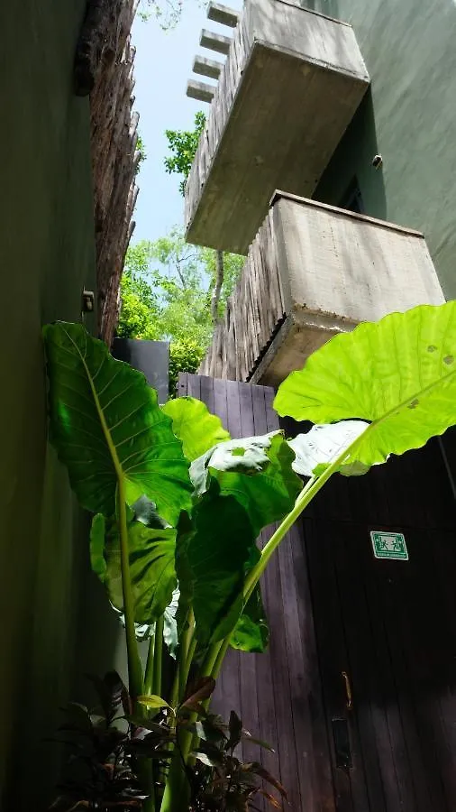 Bed and Breakfast Loba Tulum Male Only México
