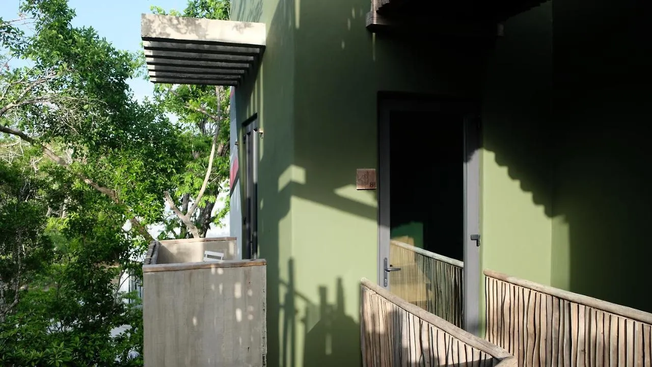 ****  Loba Tulum Male Only Bed & Breakfast Mexico