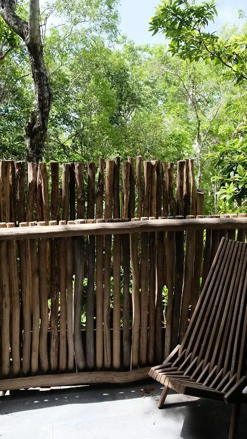 Loba Tulum Male Only Bed & Breakfast