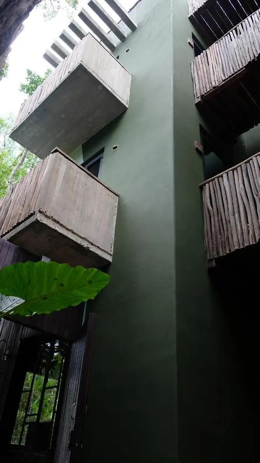 Loba Tulum Male Only Bed & Breakfast